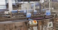 Botswana Bets on Infant Industries