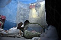 Burkina Faso: la prévention fait reculer la dengue et le paludisme