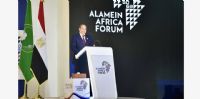 Égypte | Diplomatie économique : Le Caire veut renouer avec le continent