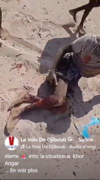 22/09/2026 : Alerte urgente : khor angar, le régime tire des balles réelles sur la population