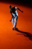 

					Maman Sani
	1er Prix au Concours Premio Roma Danza		

