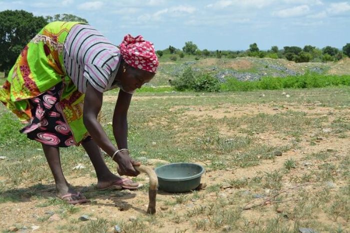 Burkina Faso : Le problème du foncier soulevé au festival « Alimenterre » - L'Actualité du Burkina Faso 24h/24