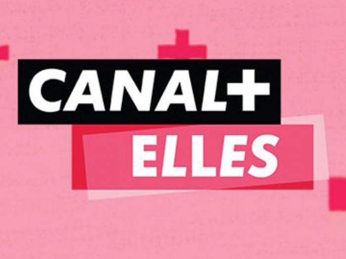 Cameroun : la chaîne de télévision Canal+ Elles bloquée  –  
