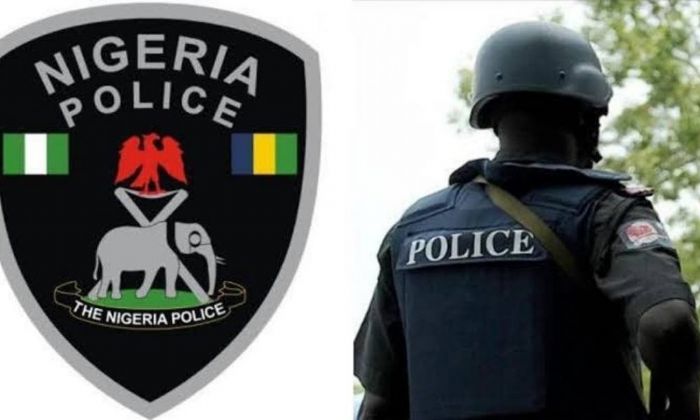 Emirship tussle: Police deploy additional personnel to 2 palaces in Kano - DAILY TIMES Nigeria