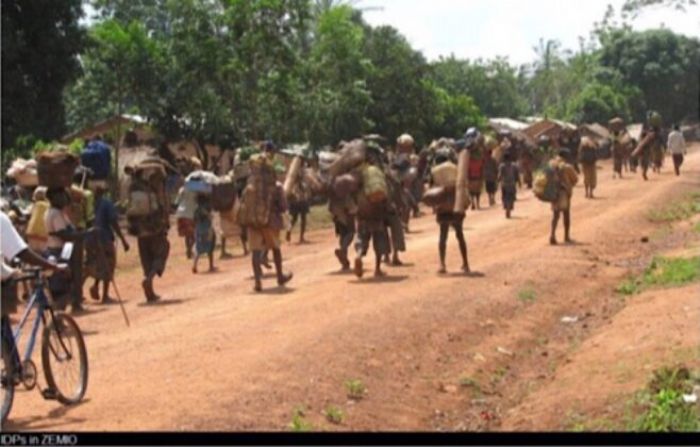 CENTRAFRIQUE : DRAME SANGLANT À MINGALA AUTOUR D'UN HIPPOPOTAME