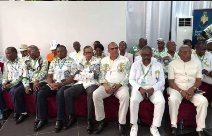 Gabon : le PDG engage sa refondation pour reconquérir le pouvoir en 2030