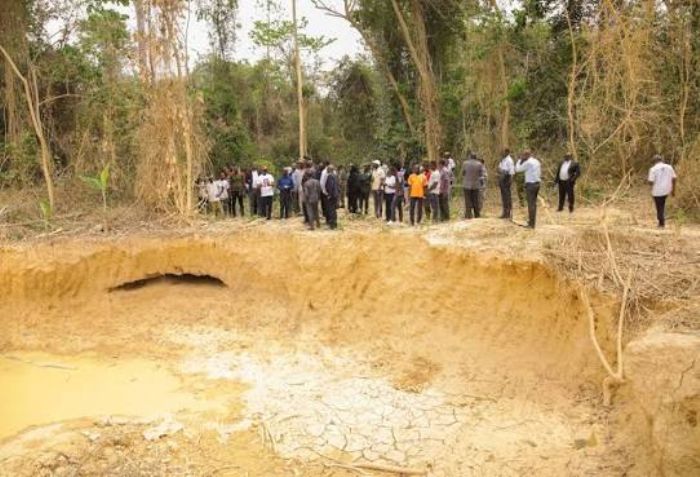 Orpaillage illégal : la Côte d’Ivoire restaure ses terres polluées