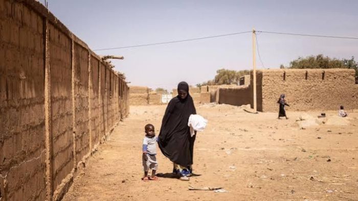 Niger : sept morts dans des frappes de drones à Til labéri