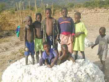 E-carte PlaneteAfrique n&deg;6